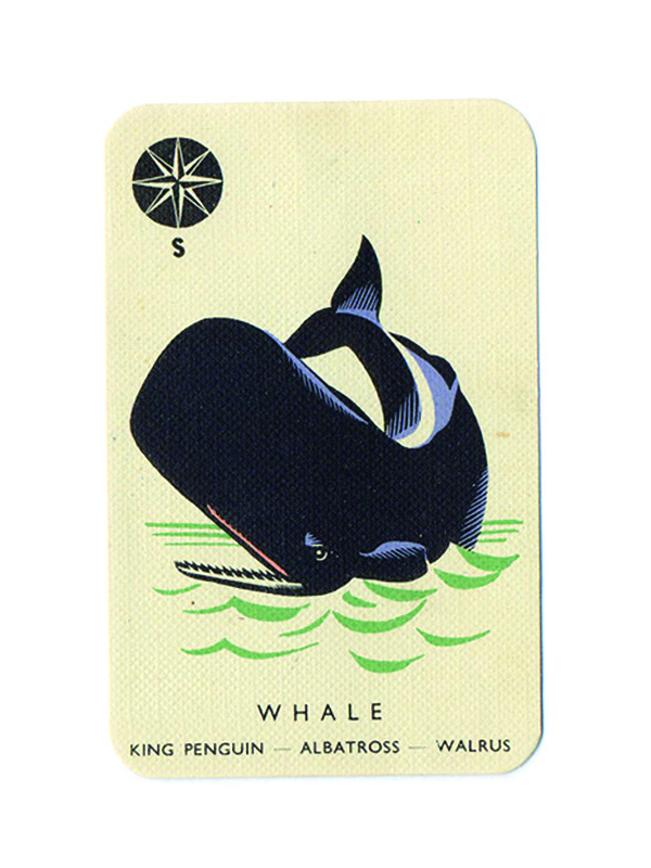 TypeToy Graphic Finds #whale #water #vintage