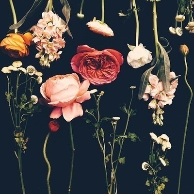 Templo- Brand Inspiration. Niice