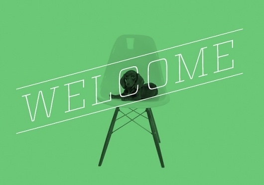 Andrew Passas #welcome #home #dog