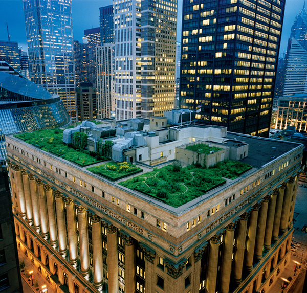 267552099_7f9e10f34a76 #garden #sustainability #rooftop