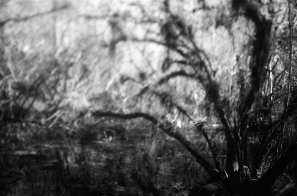 Random BW | Triangular Love. #white #black #america #forest #love