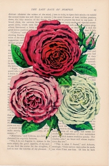 il_fullxfull.203835629.jpg 788×1,200 pixels #romance #book #roses