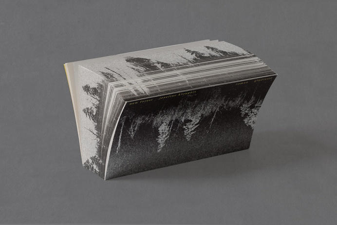 New Forest by Thomas Joakim #book #cover #forest