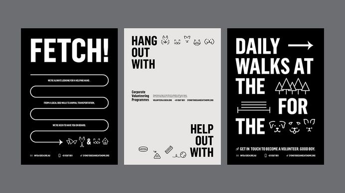 Sydney Dogs & Cats Home on Behance