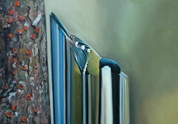 Maurizio Bongiovanni | PICDIT