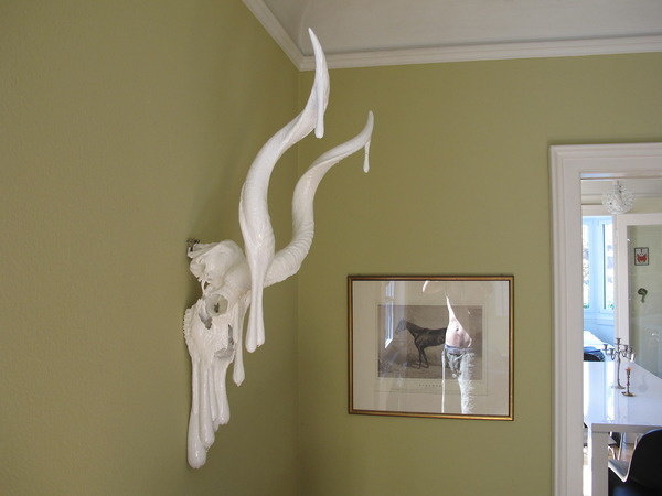 Ben Johnston #interior #serrealism #sculpture #house #shop #hipster #dripping #home #space #desk #skull #drip