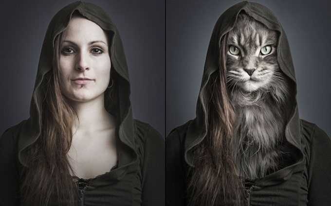 UnderCats by Sebastian Magnani #inspiration #creative #photography