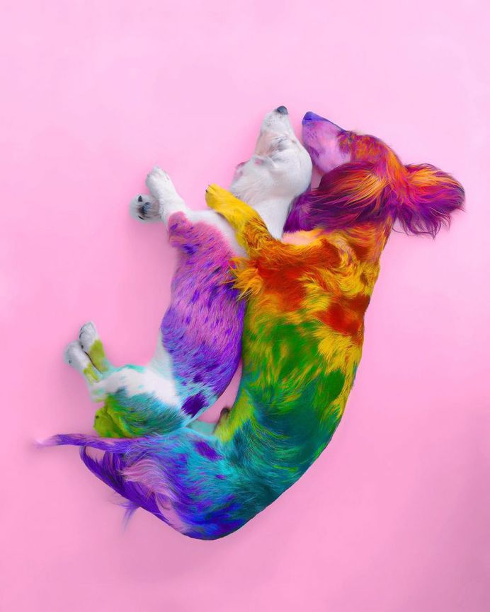 #candyminimal: Ramzy Masri Turns The World Into a Rainbow Paradise