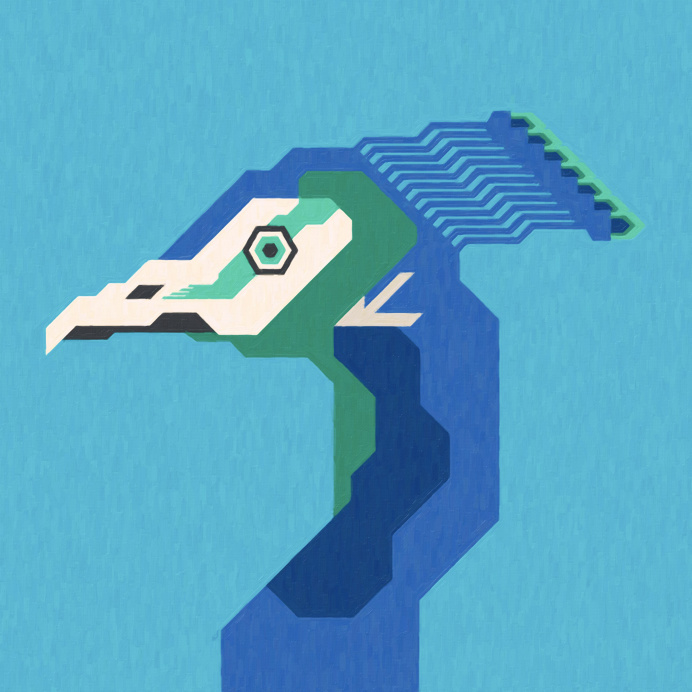#peackock #bird #animal #minimal #feather