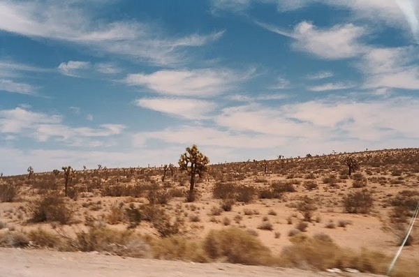 Photography by Andrew Sullivan #inspration #photography #art
