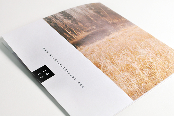 WildLife Brigade on Behance #wildlife #design #bookdesign #editorial #typography