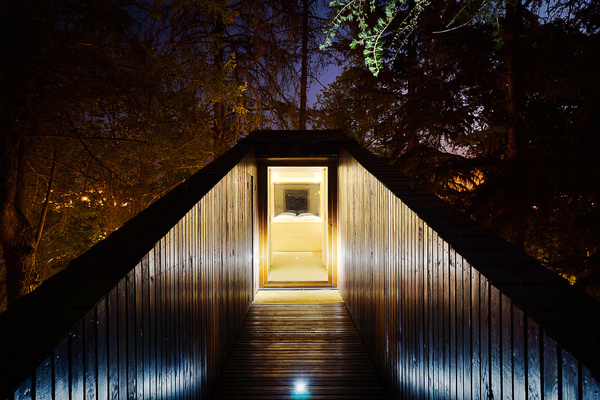 Tree Snake House by Rebelo de Andrade #architecture #tree #beautful houses #forest hous