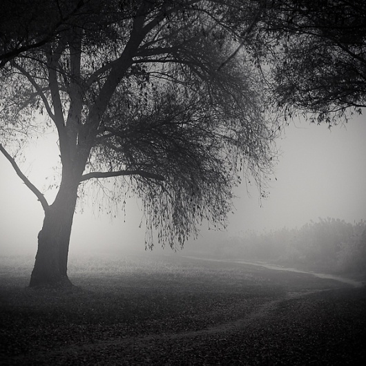 Such A Quick Walk #1, photography by Zoltan Bekefy