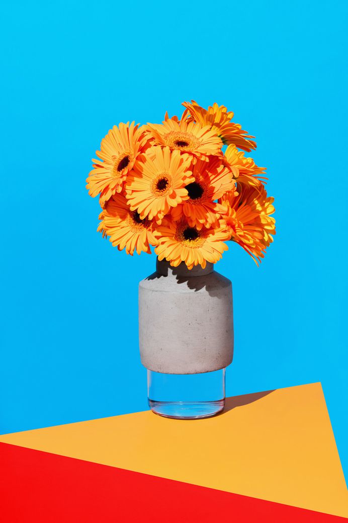 Flowers by Ilka & Franz