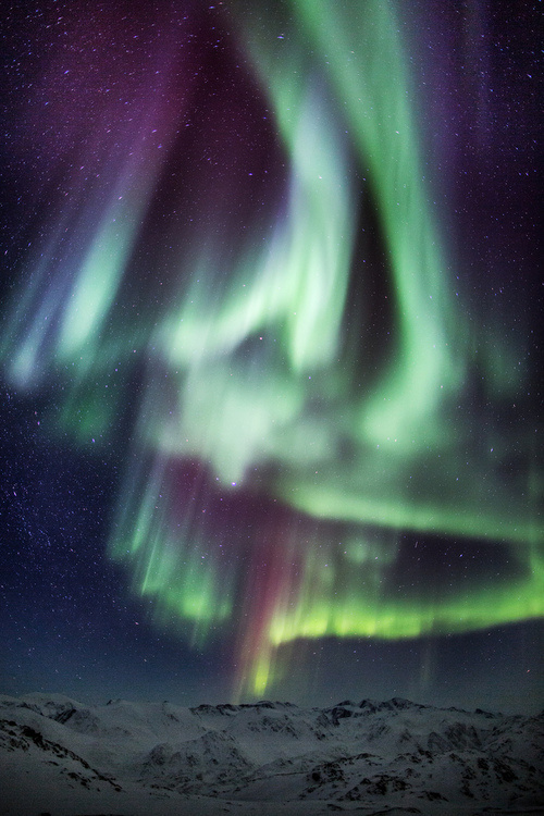 Aurora #aurora #northern #color #lights #space #borealis