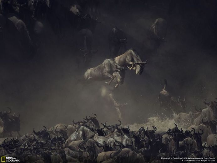 Flying At The Crossing, Pim Volkers