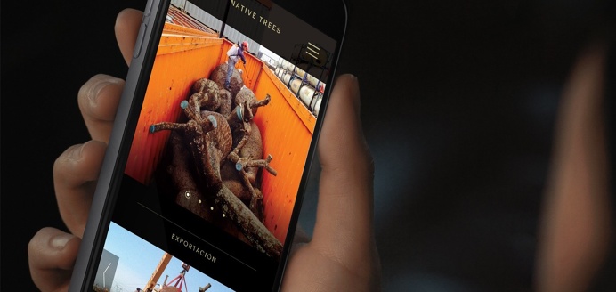 NativeTrees Website Development
