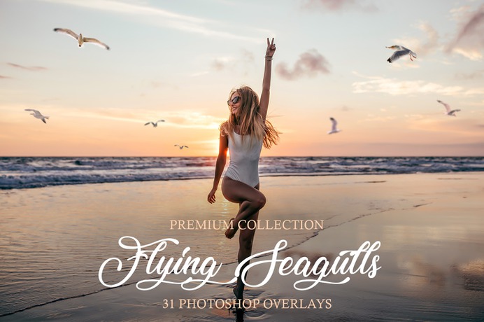 Flying Seagulls Photoshop Overlay – 31 High-quality Photoshop Overlays