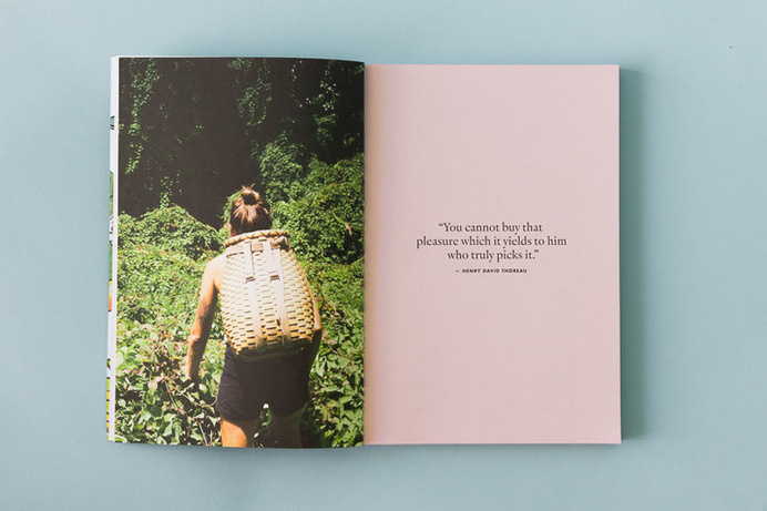 Forager, A Subjective Guide To Miami's Edible Plants #booklet #book #publication