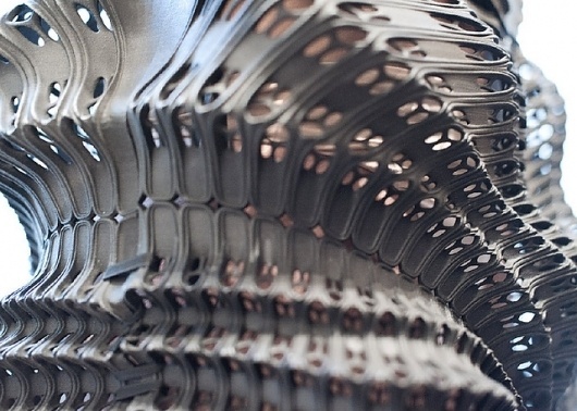 Untitled | Flickr - Photo Sharing! #fabbing #computational #structure #widrig #printing #fashion #daniel #3d