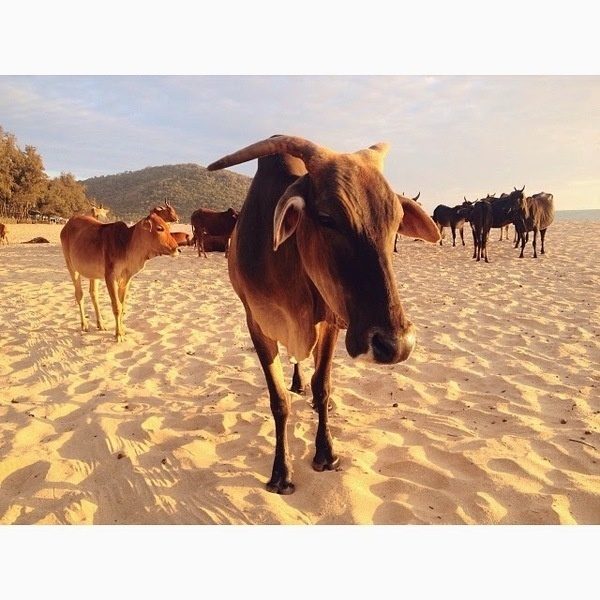 Instagram of Adam Powers #inspration #photography #art