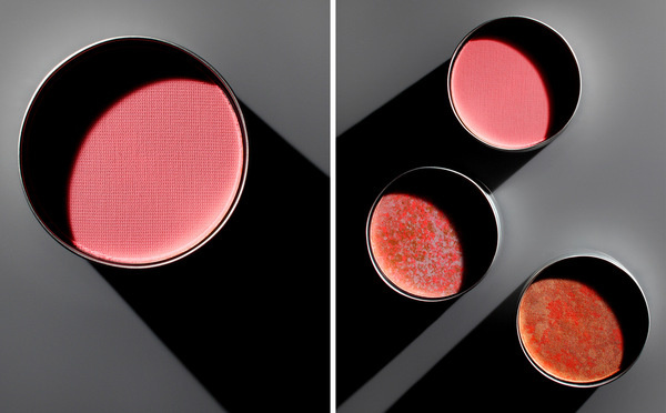 Exposure NY Photography Joel Stans Cosmetics #photography