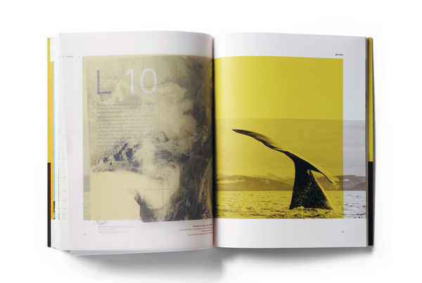 Hatch SF on mr cup.com #layout