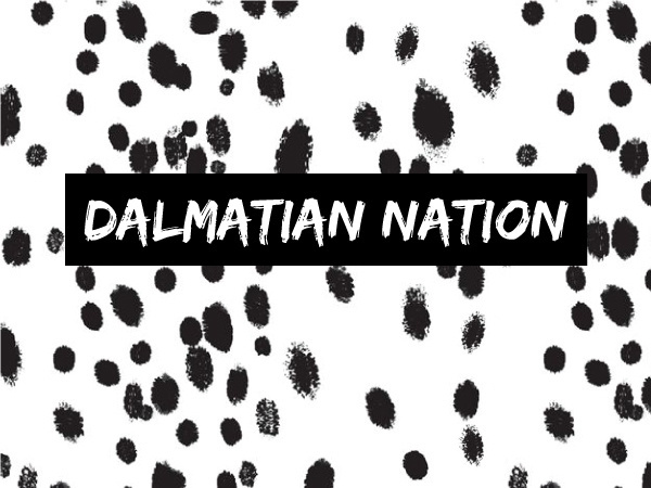 West End Girl Blog | BLOG | Designer of all things lovely #dots #dalmatian #spots #nation