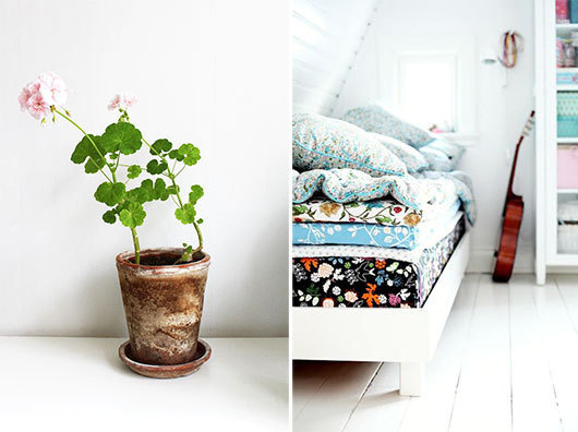 geranium sfgirlbybay design & lifestyle blog #interior #design #decor #deco #decoration
