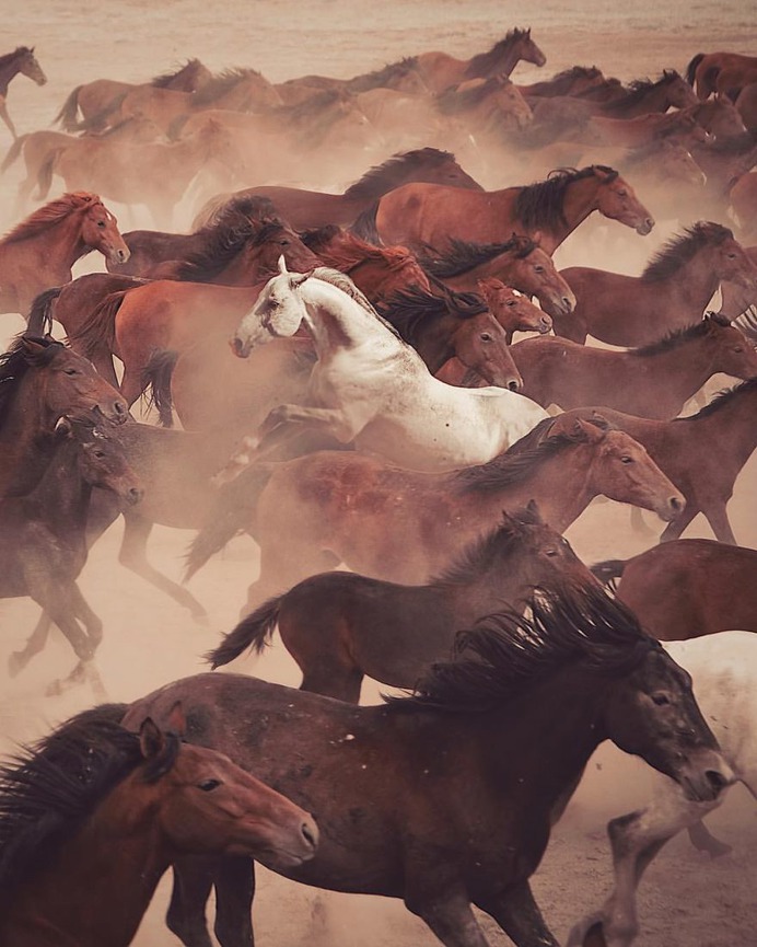 Surreal and Dreamlike Photo Manipulations by Andreas Häggkvist