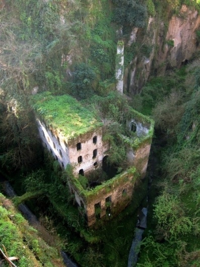 DeadFix #building #architecture #moss