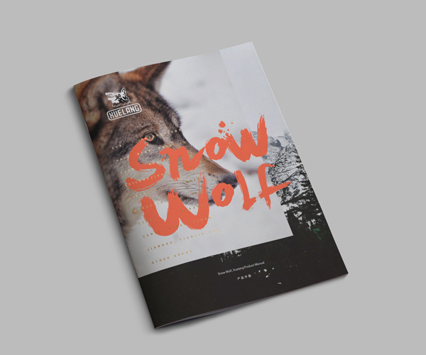Magazine, Layout