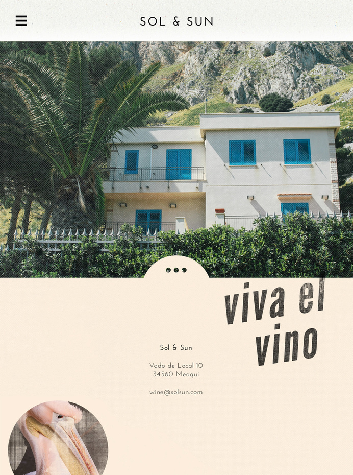 Sol & Sun - Amy Martino - Design + Art Direction #wine #web design