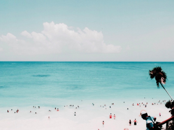 Alexa Contreras | PICDIT