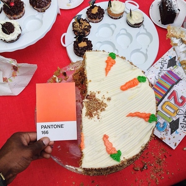 CJWHO ™ (The Pantone Project by Paul Octavious Paul...) #creative #design #octavuious #colors #pantone #art #paul