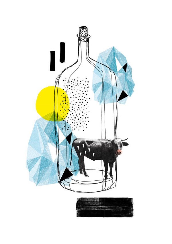 Flaschenpost #kuh #a #bottle #fischer #in #cow #flaschenpost #illustration #maria #message #collage
