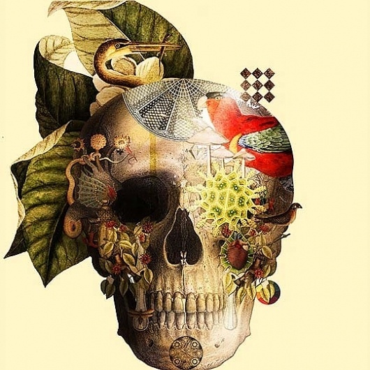Ilustración y collage digital de LUIS TOLEDO : ColectivoBicicleta | ilustración y diseño Colombia y Latinoamerica #luis #digital #illustration #toledo #collage