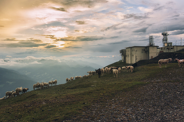 alp impressions VI #nature #mountains