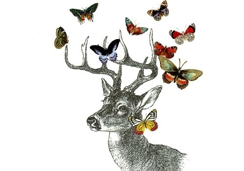 coqueterías - (via misswallflower) #bambi #illustration