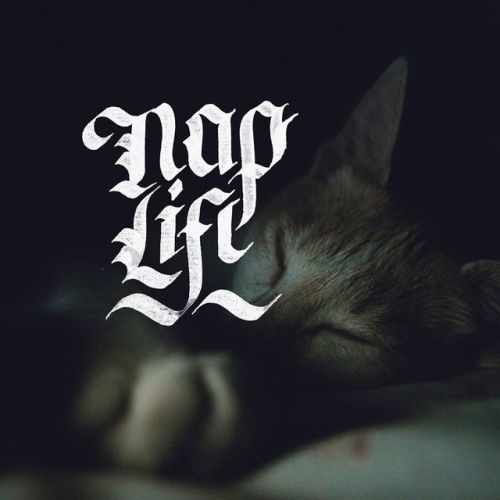 💤 Napping is Life 💤 - 📷by @mighango / @unsplash - #tyxca #letteringpractice #typespire #nap #naplife #calligraphy #calligraphypract