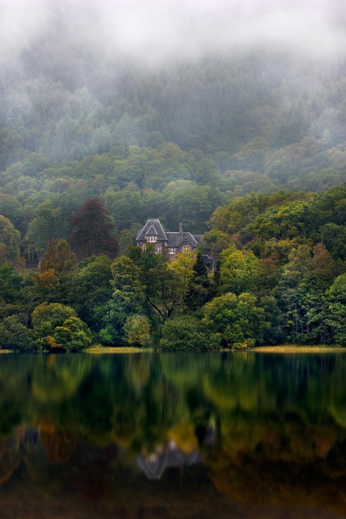 Nestled by Andy Wellings