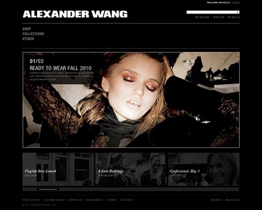 Alexander Wang on Web Design Served #dsfsfd