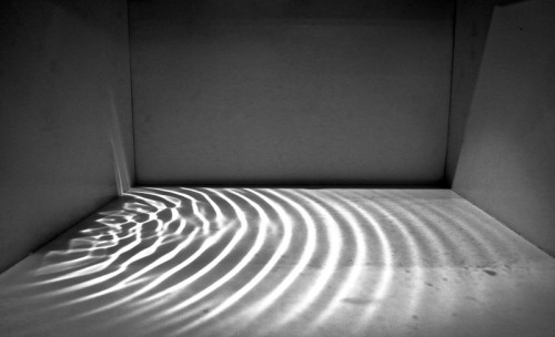 The Catch, 2015 Lauren Bon and Metabolic Studio