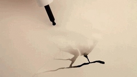 FFFFOUND! | ♥ Dinner for Mouschi #watercolor