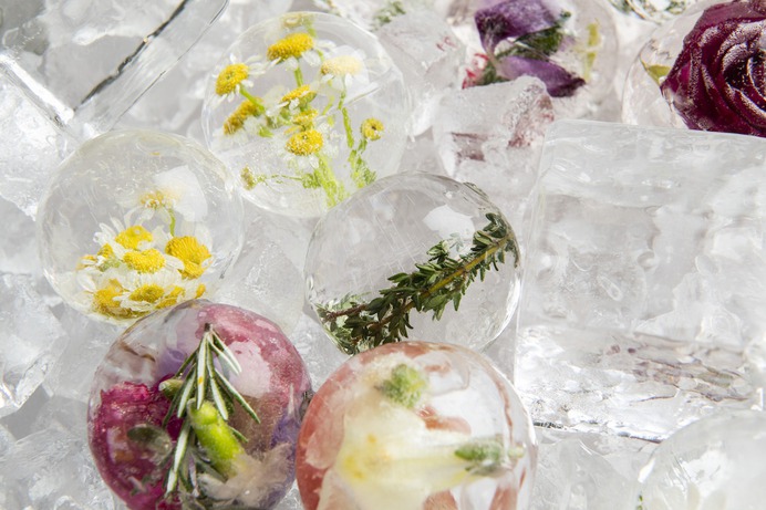 Cocktails with Infused Ice Cubes