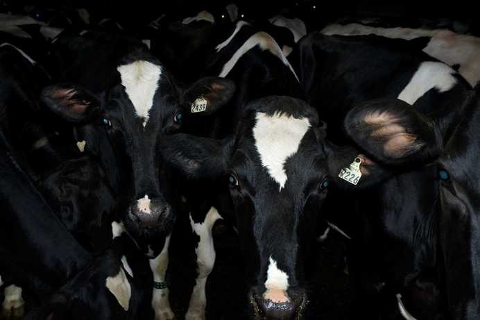 Quebec's Agriculture by Benoit Aquin #inspiration #photography #art