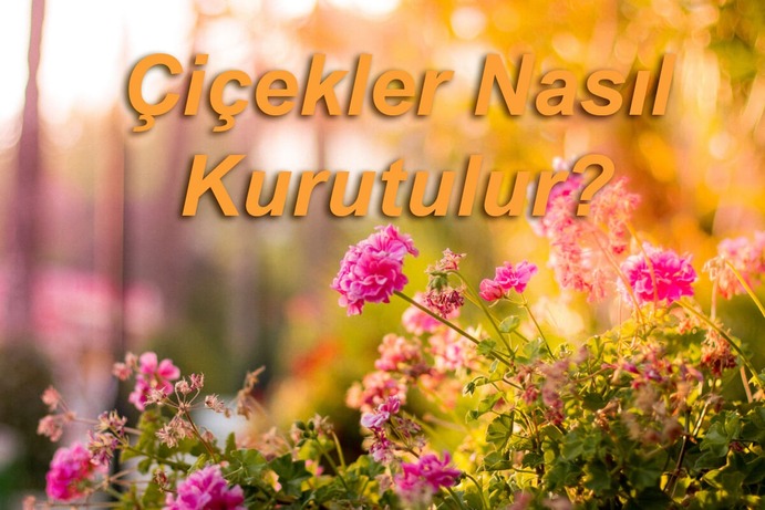 Çiçekler Nasıl Kurutulur?