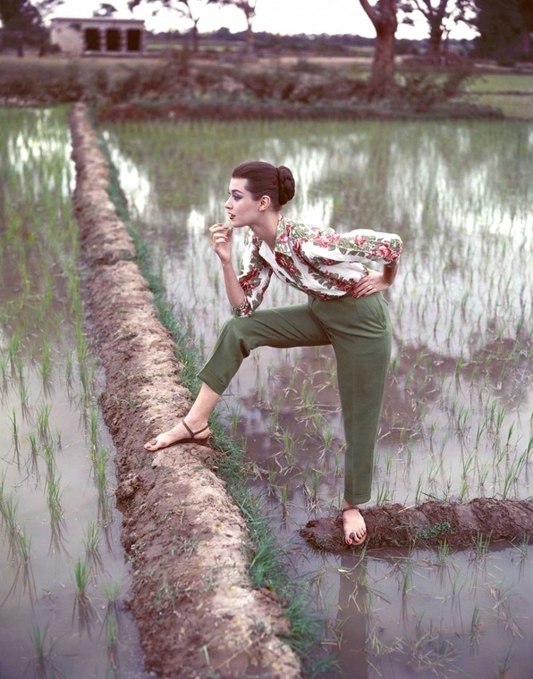 Norman Parkinson - Paddy Fields in the late summer - Photos - Social Photographer's Portfolios #fashion #photography #inspiration