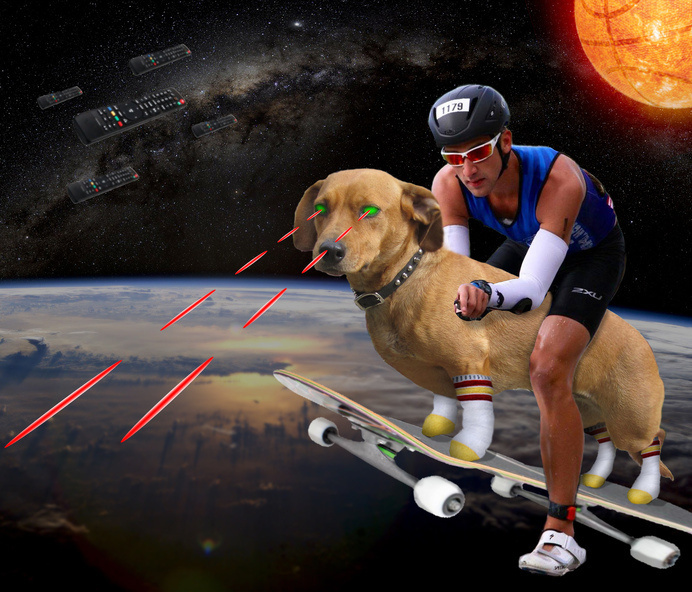 1 Contact | #random #skate #photoshop #weird #basketball #dog