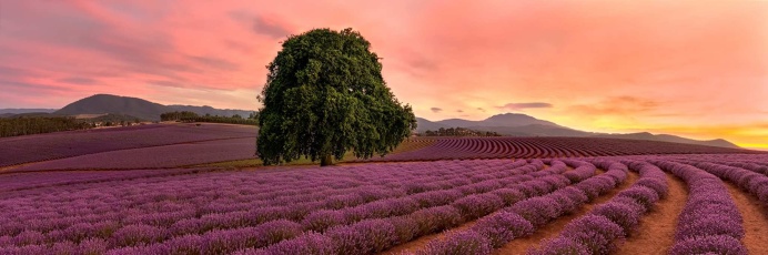 Stunning Panoramic Landscapes by Ray Jennings